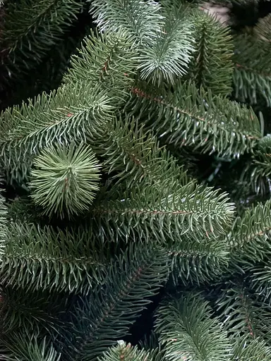 Штучна пухнаста ялинка Карпатська (висота-2.80 м) лита (Зелена) - фото 5