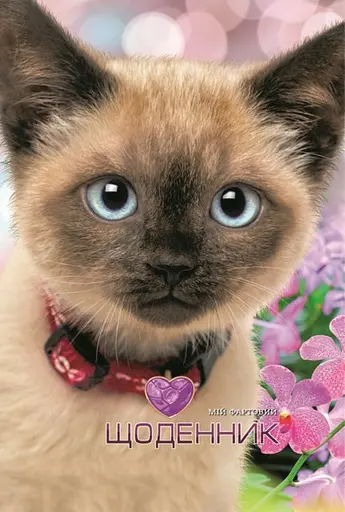 Щоденник, 70 г, 7БЦ, 165x240 мм, 40 аркушів, матова ламінація, 2234