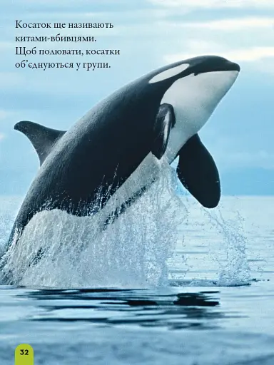 National Geographic. Моя перша енциклопедія. Океани - фото 3