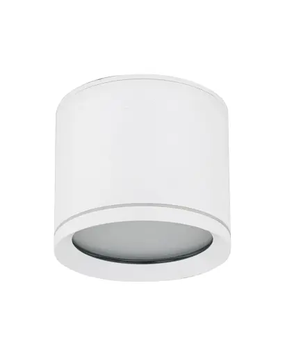 Точковий світильник TK Lighting 10595 Vivo GX53 1x11W IP44 білий - фото 1