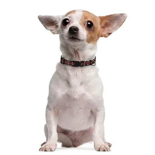 Ошейник для собак Баркси Urban патриотический Вышиванка черная - фото 4