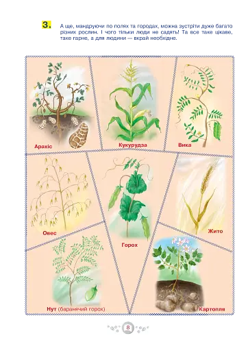 Я досліджую світ. 1-4 класи. Енциклопедія для чомусиків - фото 9