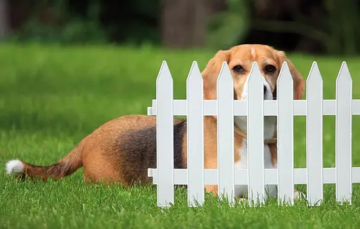 Садовое ограждение Prosperplast Garden Classic белое 3.2 м - фото 2