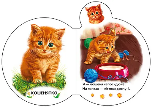 Книга Малята на подвір'ї + Аудіо-бонус. Автор - Ірина Сонечко (Ранок) - фото 2