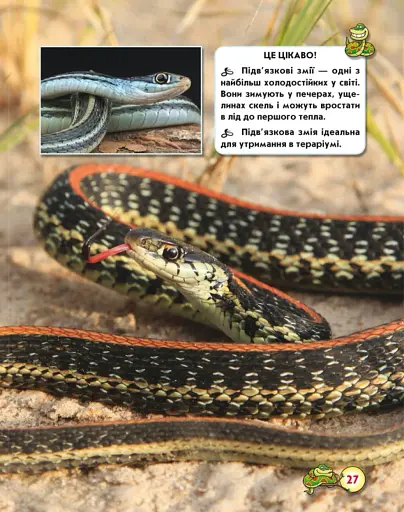 Світ навколо нас. Змії - фото 5