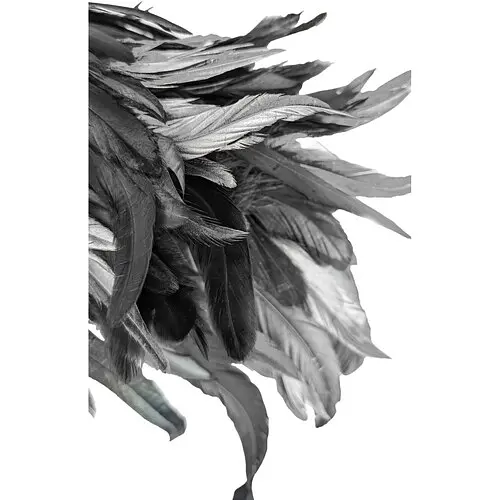 Наплічники пір'яні - фото 5