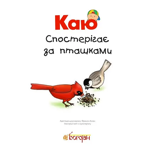 Книга Каю спостерігає за пташками. Мої історії. Автор - Аллен Франсін (Богдан) - фото 2