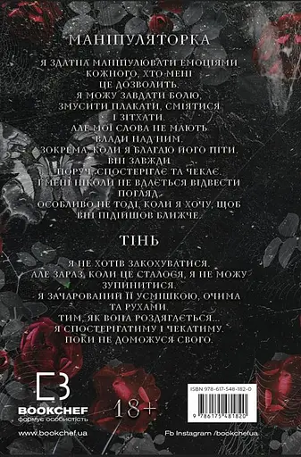 Гра в кота і мишу. Книга 1. Переслідування Аделіни - фото 2