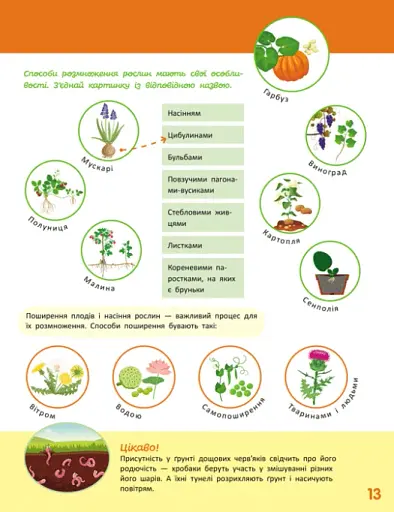 Школа Кенгуру. Пізнаємо світ. III крок - фото 3