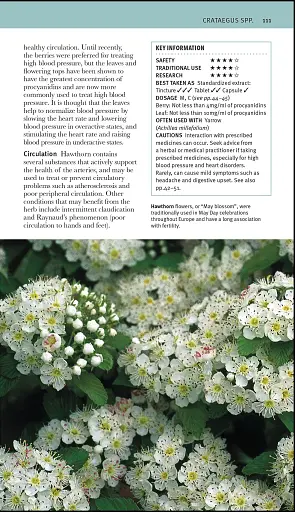 Herbal Remedies Handbook - фото 4
