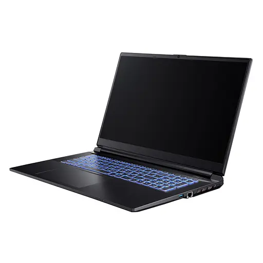 Ноутбук DreamMachines G1650-17EU95 i7-13700H 17.3” /GTX1650/500 GB M.2 /16 GB - фото 4