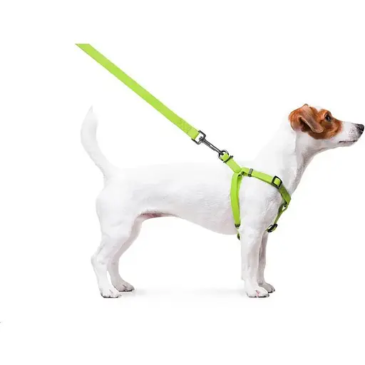 Шлея для собак Waudog Waterproof водостійка з QR паспортом, металічна пряжка-фастекс, салатовий - фото 5