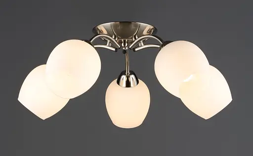 Потолочная люстра N6629/5