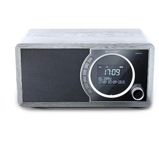 Радиоприёмник Sharp DR-450 Gray - фото 3