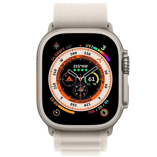 Ремешок Alpine Loop для Apple Watch 42(ser.1-3)/44/45/46/49mm (m/l) Серый / Starlight - фото 2