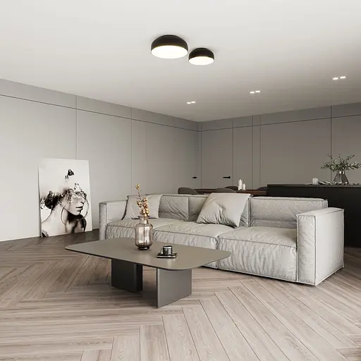 Точечный светильник Skarlat RDLC79028 30W BK+WH 4000K - фото 3