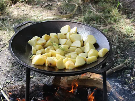Садж чавунний Brizoll Ø 400 мм з підставкою - фото 6