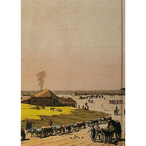 Україна та сусідні землі в XVIII ст. Подорожі барона фон Кампенгаузена - Лейон Пірс Бальтазар - фото 2