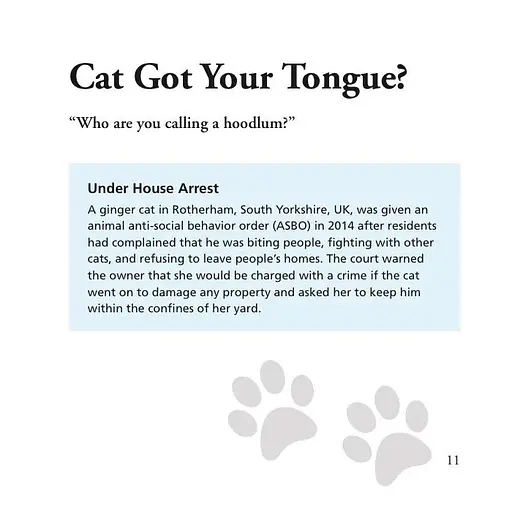 Cats Gone Bad - фото 2