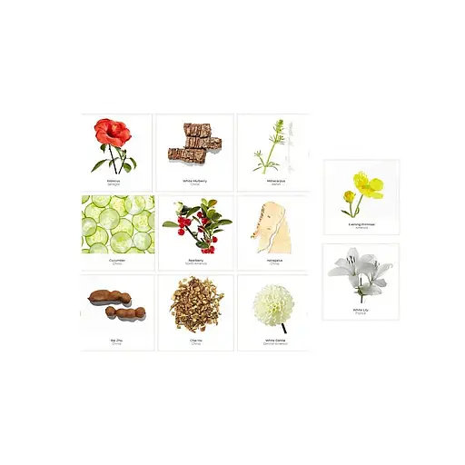 Крем Onagrine White Perfection проти пігментації з SPF15 денний 40 мл (P01530) - фото 3