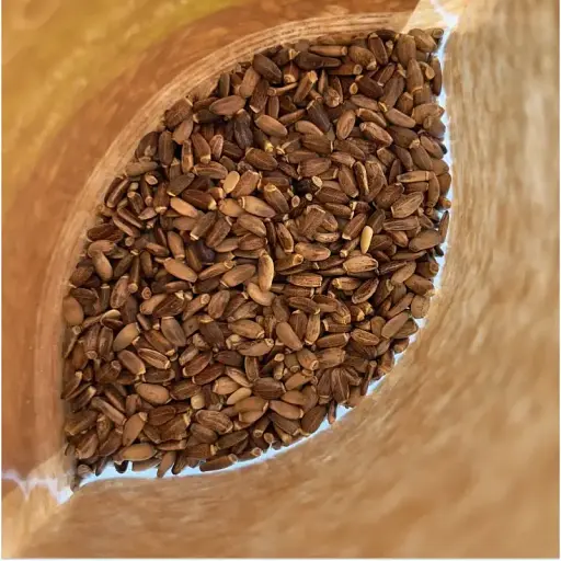 Насіння розторопші Здорово! 1 кг - фото 5