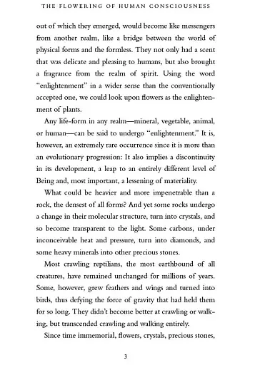 A New Earth - фото 10