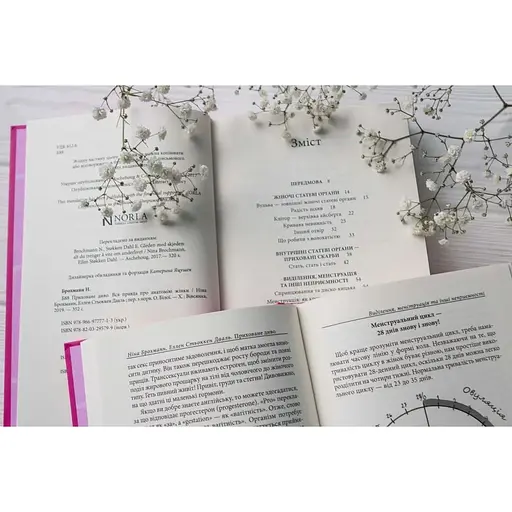 Книга Приховане диво. Вся правда про анатомію жінки Ніна Брохманн, Еллен Стьоккен Дааль - фото 5