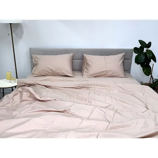 Комплект постельного белья Ecotton твил-сатин (23124) - фото 1