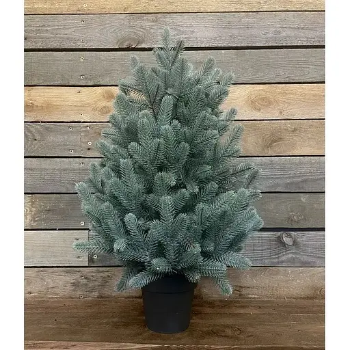 Ялинка Hvoya Traditional лита в горщику 70 см блакитна новинка