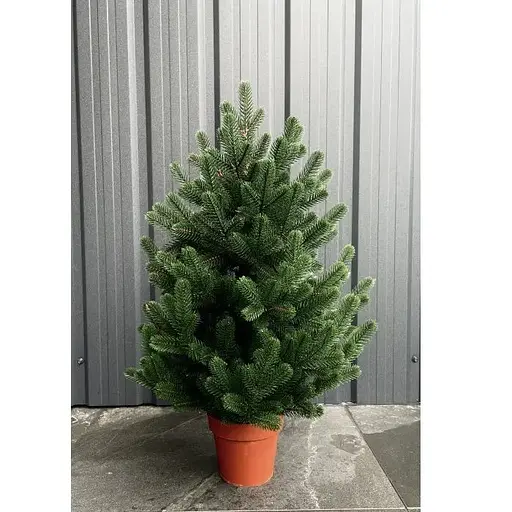 Елка Hvoya Traditional литая в горшке 70 см зеленая новинка - фото 2