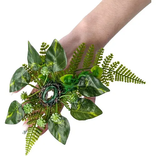 Каблучка Лісова німфа - фото 1