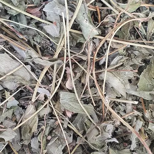 Перстач білий/лапчатка біла трава сушена - свіжий урожай 100 г 