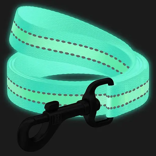 Повідець для собак Waudog Nylon нейлоновий, світонакоплювальний, блакитний - фото 3