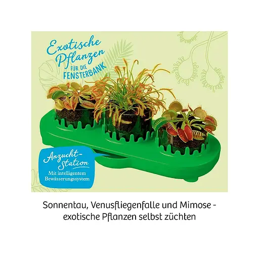 Венерина мухоловка Venus Flytrap Kosmos - Набор для исследования (616977) - фото 4