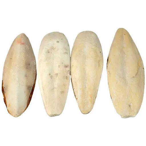 Мінеральний камінь для птахів TatraPet Fantasia з панцира каракатиці без утримувача 22-25 см