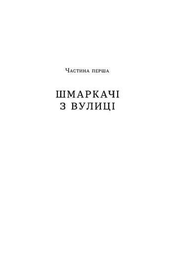 Загублений принц - фото 4
