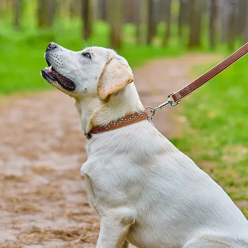 Нашийник для собак шкіряний Waudog Soft з QR-паспортом металічні прикраси Ш 25 мм Д 38-49 см коричневий - фото 2