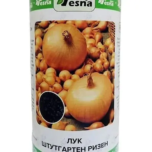 Лук Весна Штутгартен 500 г (85659) - фото 1
