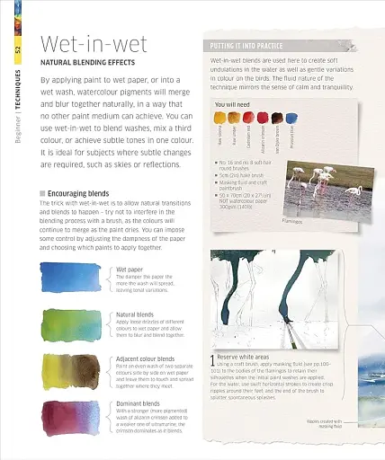 Watercolour Techniques for Artists and Illustrators - фото 2