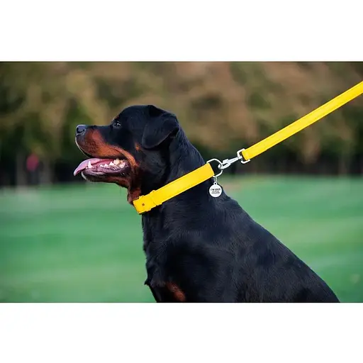 Повідець для собак Waudog Glamour шкіряний, жовтий - фото 8