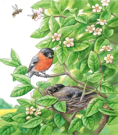 Де живуть тварини - фото 5