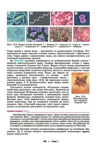 Біологія і екологія 10 клас - фото 3