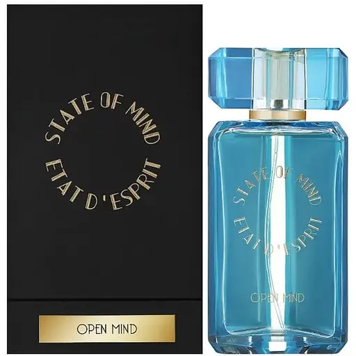 Парфюмированная вода оригинал State Of Mind Open Mind 100 мл - фото 1