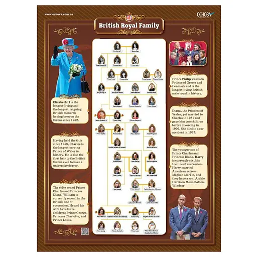 Наглядные пособия "Набор плакатов Английский язык" ЗПП048, 5-11 классы - фото 2