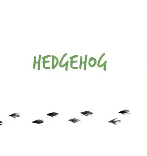 Forest Animals - фото 5