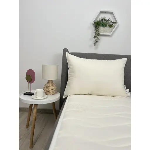 Подушка ТЕП Cozy Sleep 70 x 70 см (3-04571_00000) - фото 1