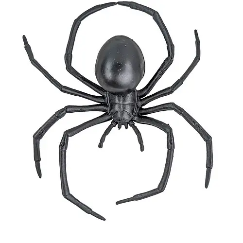 Паук Дикий - фото 1