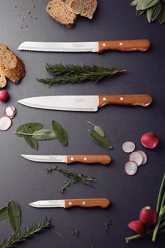 Набор ножей TRAMONTINA DYNAMIC, 4 предмета (506159) - фото 2