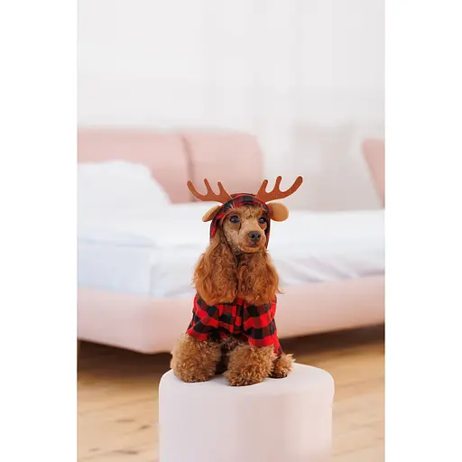 Костюм для собак Pet Fashion Xmas XS2 красный - фото 6