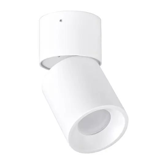 Спот ASTRA 314062 Polux - фото 1